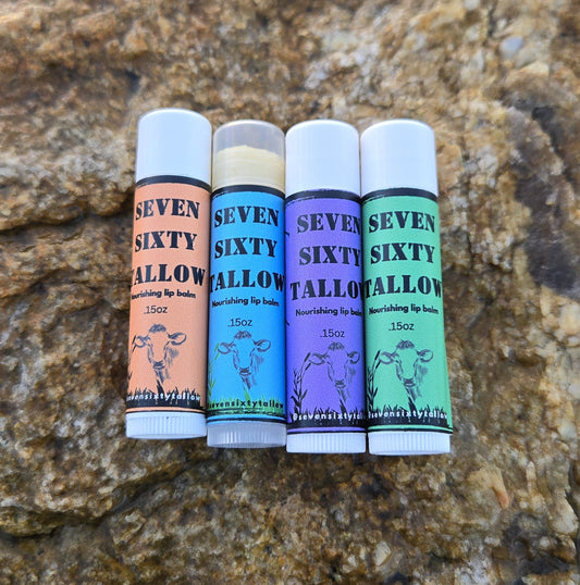 Tallow Lip balm 4 pack